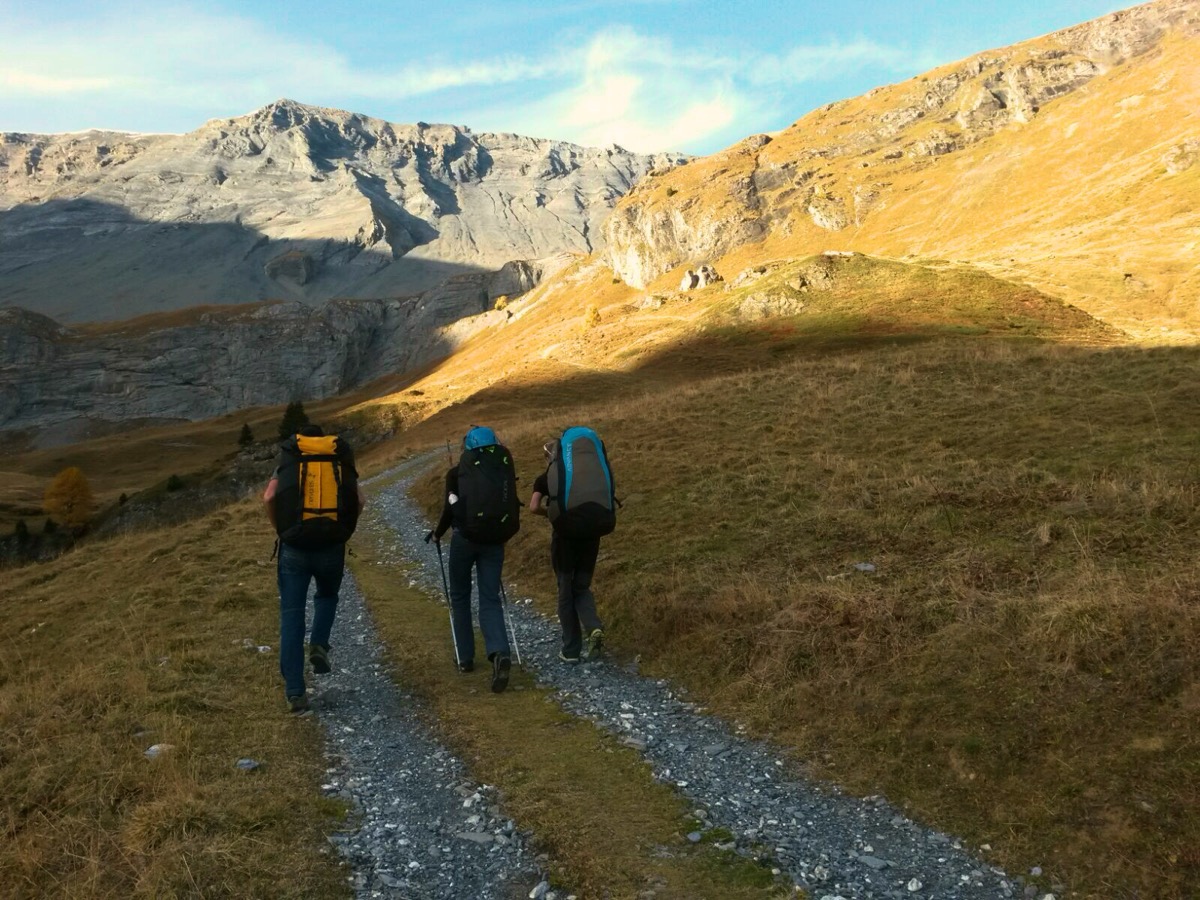Trois randonneurs, sac de parapente sur le dos, montent un chemin d'alpage en été